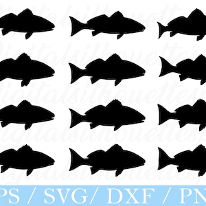 Può includere: Una collezione di sagome nere di pesci, disposte in file. Ogni pesce presenta dettagliate pinne e coda. Il testo "EPS / SVG / DXF / PNG" è visibile in un banner blu chiaro in basso.