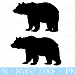 Bär geschnitten Datei, Bär Silhouette, Bär Vektor, Dxf, Png