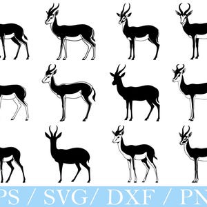 Springbok Antelop Svg, Springbok Antelope Silhouette, Dxf, Png
