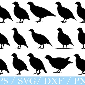 Partridge Bird Svg, Partridge Bird Silhouette, Patridge Bird Cut File, Dxf, Png