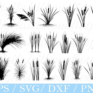 Può includere: Una collezione di immagini di silhouette nere di giunchi e canne, con varie disposizioni di steli, foglie e radici. L'immagine include il testo "EPS / SVG / DXF / PNG" in un banner azzurro nella parte inferiore.