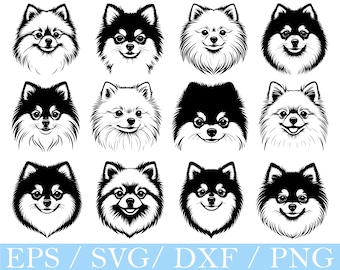 Pomeranian Dog Face SVG, PNG, DXF Vector (Digital Download)