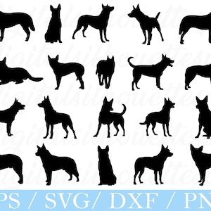 Bouvier australien Svg, Silhouette de bouvier australien, Dxf, Png