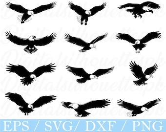 Águila calva en vuelo SVG: silueta, gráficos vectoriales (descarga digital)