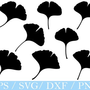 Gingko Leaves Svg, Gingko Leaf Silhouette, Gingko Leaves Vector, Dxf, Png