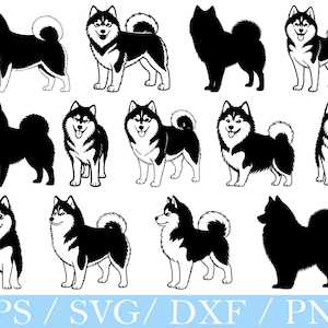 Pomsky Dog Svg, Pomsky Dog Silhouette, Pomsky Dog Vector, Dxf, Png