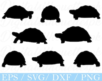 ヘルマンリクガメの SVG クリップアート。陸ガメのベクターアート