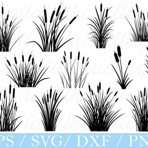 Reed Grass Svg, Reed Silhouette, Reed Cut File, Dxf, Png