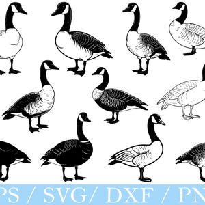 Canadian Goose Svg, Canadian Goose Silhouette, Goose Vector, Dxf, Png
