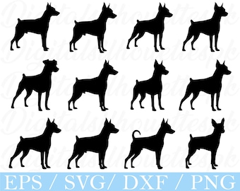 Miniature Pinscher Dog Svg, Pinscher Dog Silhouette, Dxf, Png