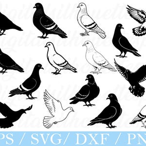 Pigeon Svg, Pigeon Silhouette, Pigeon Cut File, Dxf, Png