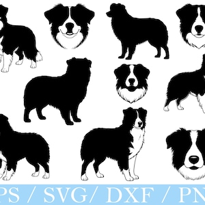 May include: A collection of black and white Border Collie dog illustrations in various poses. The image includes full body silhouettes, standing poses, and head portraits. The bottom of the image displays the text "EPS / SVG / DXF / PNG".