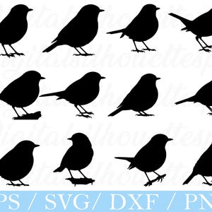 May include: A collection of black bird silhouettes in various poses, including standing, perched, and in flight. The birds are depicted in a minimalist style, suitable for digital art or crafting projects. The image includes the text "EPS / SVG / DXF / PNG".