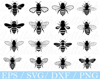 Honey Bee Svg, Honey Bee silhouette, Dxf, Png