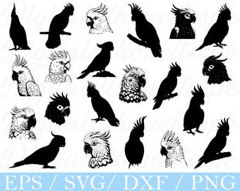 Cockatoo Bird Svg, Cockatoo Silhouette, Dxf, Png