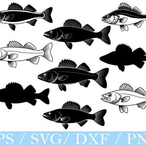 Walleye Fish Svg, Walleye Fish Silhouette, Walleye Fish Cut File, Dxf, Png