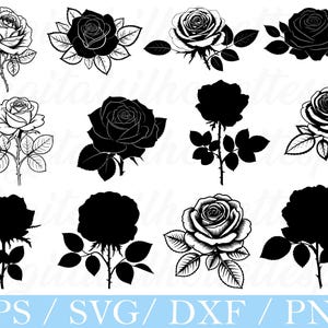 Peut inclure: Illustrations de roses en noir et blanc. Les motifs comprennent des dessins au trait détaillés et des silhouettes pleines de roses avec des tiges et des feuilles. Le texte en bas indique "EPS / SVG / DXF / PNG".
