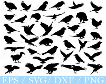 Birds Svg, Birds Silhouette, Dxf, Png