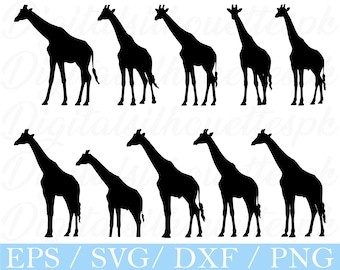 Giraff Svg, Giraffsilhuett, Dxf, Png