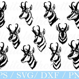 Pronghorn Antelope Head Svg, Pronghorn Antelope Head Silhouette, Dxf, Png