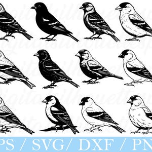 American Goldfinch Bird Svg, Goldfinch Bird Silhouette, Dxf, Png