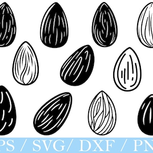 Almond Svg, Almond Silhouette, Almond Cut File, Almond Vector, Dxf, Png