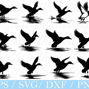 Mallard Duck Flying on Water Svg, Flying Mallard Duck Silhouette, Dxf, Png