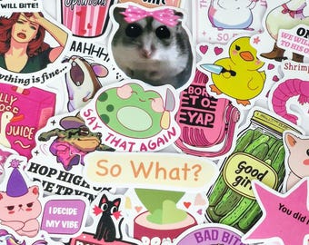 Saddie Baddies Stickers: 25Pcs Mixed Pack, Matte Finish - Sarcastic Humour (Girly Edition) Waterproof, Vinyl VSCO, Die Cut, Bulk Pack