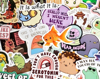 Mixed Pack Random Stickers: 25Pcs Mixed Pack - Waterproof Vinyl VSCO Pre-Cut, Die Cut, Bulk Pack
