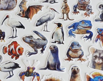 Australian Animals Stickers: 50Pcs Mixed Pack - Gloss Finish, Waterproof Vinyl VSCO Pre-Cut, Die Cut, Bulk Pack