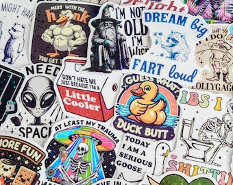 Sassy Funny Snarky Stickers: Holographic Finish - Water Resistance, Vinyl VSCO Pre-Cut, Die Cut, Bulk Pack