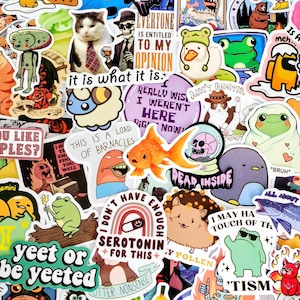 Mixed Pack Random Stickers: Waterproof Vinyl VSCO Pre-Cut, Die Cut, Bulk Pack
