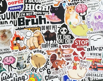 Funny Snarky Stickers: 25Pcs Mixed Pack, Matte Finish, Waterproof, Vinyl VSCO, Die Cut, Bulk Pack