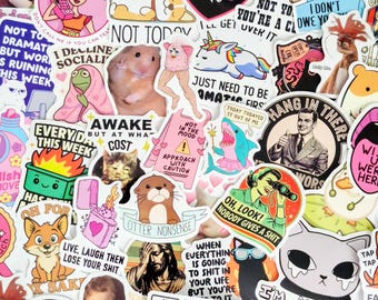 Saddie Baddies Aufkleber: 25 Stück gemischte Packung - Lustige niedliche Ausdrücke (Girly Edition), glänzende Oberfläche, wasserfestes Vinyl VSCO, gestanzt, Großpackung