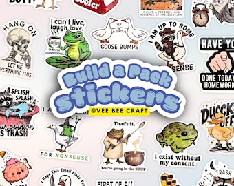 Pick-Your-Own Sticker Pack: Funny Silly Saying Stickers - Holographic Vinyl VSCO Pre-Cut