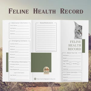 Shot Record Kitten Etsy