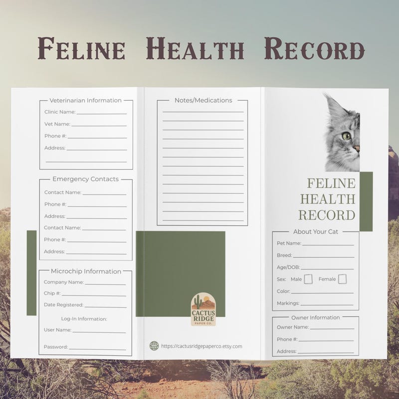 Cat Vaccines Book Etsy