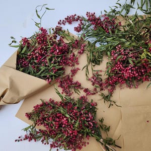 Puede incluir: Vista aérea de varios manojos de bayas rosas secas y hojas verdes. Algunos están dispuestos sobre papel marrón, otros sueltos. Las bayas rosas son de un rosa vibrante y las hojas de un verde intenso.