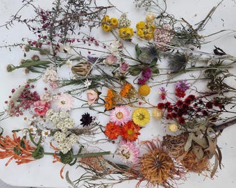 Mixed Dried Flowers Box. (150 approx).