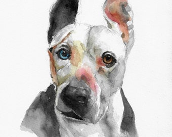 Custom Pet Portrait in Watercolor, 10 x 8 inches