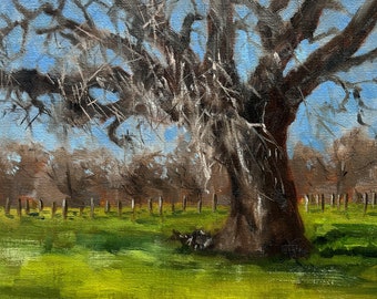 Oak Tree oil painting, 8 x 10 inches