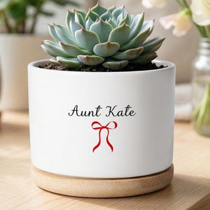 以下が含まれることがあります： 「Aunt Kate」の文字と赤いリボン模様が入った、多肉植物が入った白い陶器鉢。木製の台座の上に置かれています。背景には他の鉢植えや花があります。