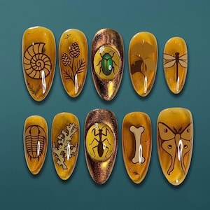 May include: A set of ten press-on nails with a glossy, amber-colored finish. Each nail features a unique design, including insects, fossils, and botanical elements in brown and gold. The nails are oval-shaped.