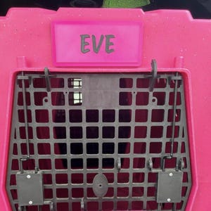 May include: A bright pink pet carrier with a black metal grate door. The name "EVE" is displayed on a pink nameplate. The carrier has a sturdy design with secure latches and a handle.