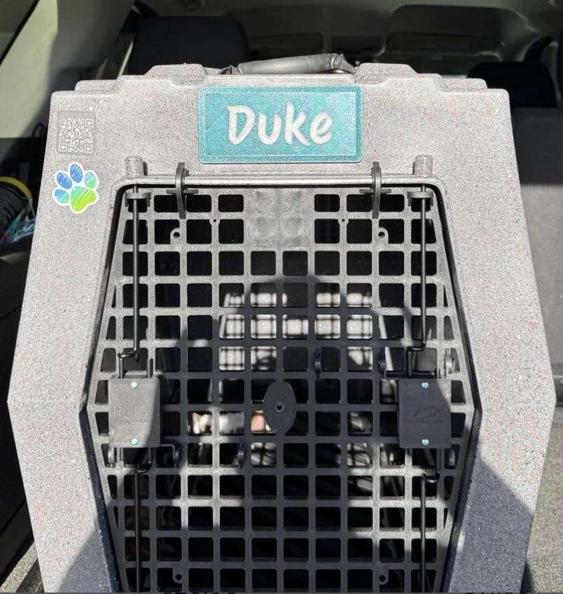 Custom Ruffland Logo Cover Crate Tag: 3D Printed Dog Kennel Nameplate ...
