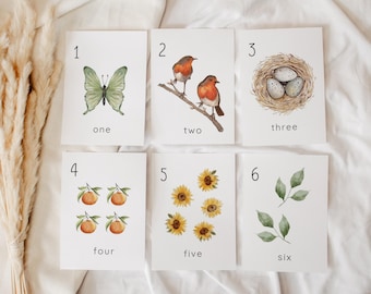Number Flash Cards 1-20 – Nature-Themed Counting for Toddlers and Preschoolers