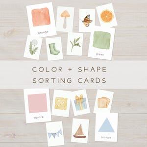 May include: A collection of educational sorting cards featuring watercolor illustrations of various objects, colors, and shapes. The cards display images including an orange, mushroom, butterfly, boots, leaves, cheese, gift, bread, boat, and bunting, with the text COLOR + SHAPE SORTING CARDS.
