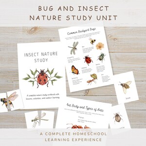 Puede incluir: Una unidad de estudio de la naturaleza de insectos que consta de un libro de trabajo titulado Insect Nature Study, una hoja informativa Common Backyard Bugs y varias tarjetas ilustradas con dibujos en acuarela de abeja, libélula, mariquita y hormiga.