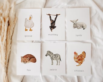 Animal Word Flash Cards – Toddler Learning, Preschool Printable Vocabulary Cards