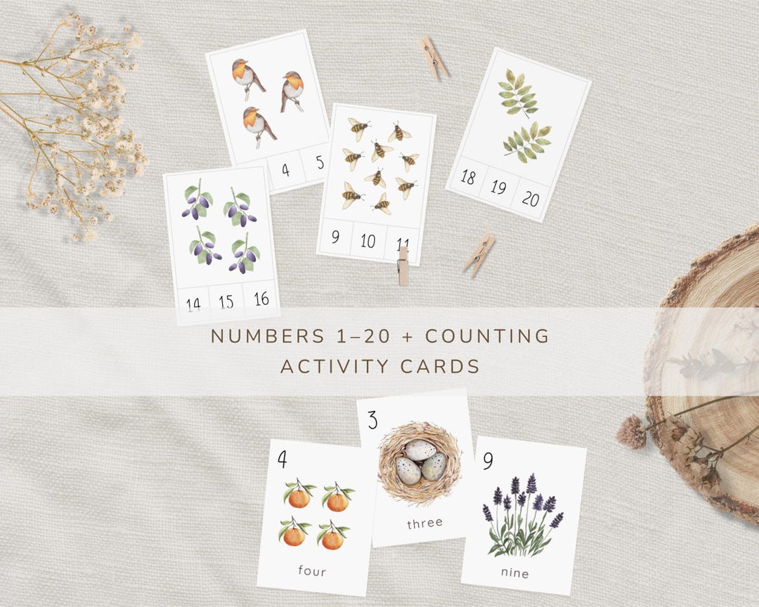 Number Cards and Counting Activity Bundle | 1–20 Nature Theme ...